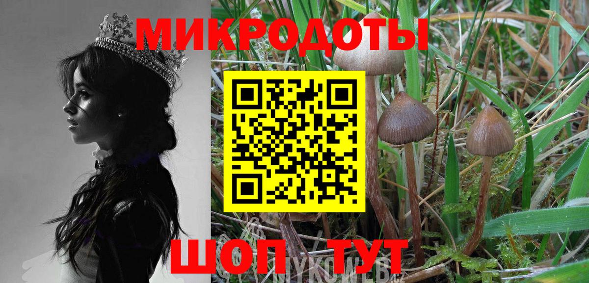 закладка  Галлюциногенные грибы ЛСД  Таганрог  Вход с VPN  Псилоцибиновые грибы Psilocybe 